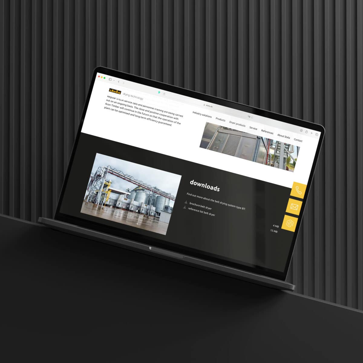 Stela laxhuber ase studies